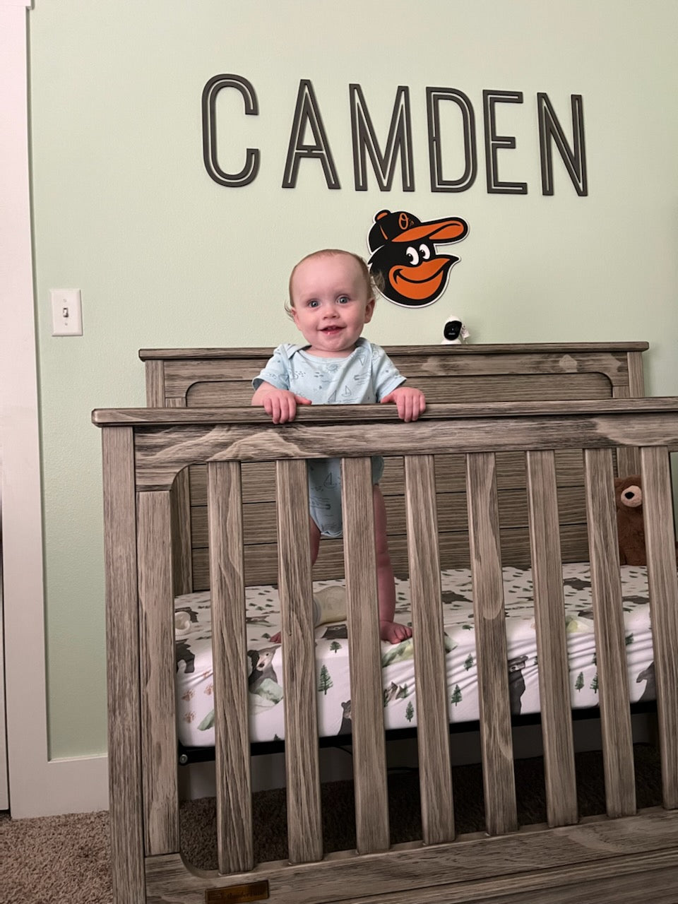 Nursery Name Wall Sign Art